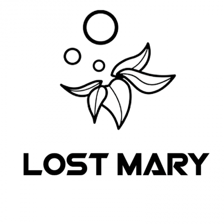 LOST MARY VAPES